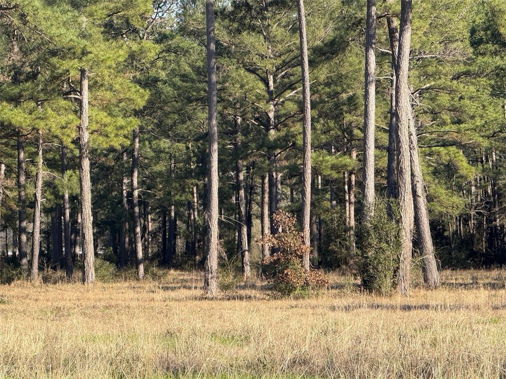 Photo of TBD Fm 3126, Livingston, TX 77351 (MLS # 15308205)