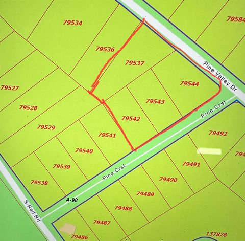 Photo of 0 Pine Crest St Street, Shepherd, TX 77371 (MLS # 26744563) Photo of 0 Pine Crest St Street, Shepherd, TX 77371 (MLS # 26744563)