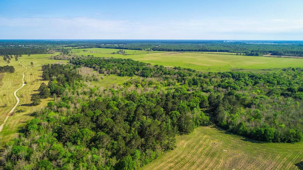 Photo of 40902 Sh 105, Batson, TX 77519 (MLS # 40609137)