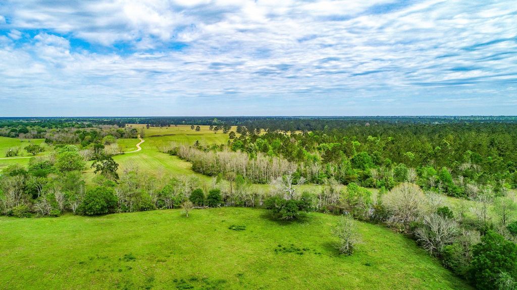 Photo of 40902 Sh 105, Batson, TX 77519 (MLS # 40609137)