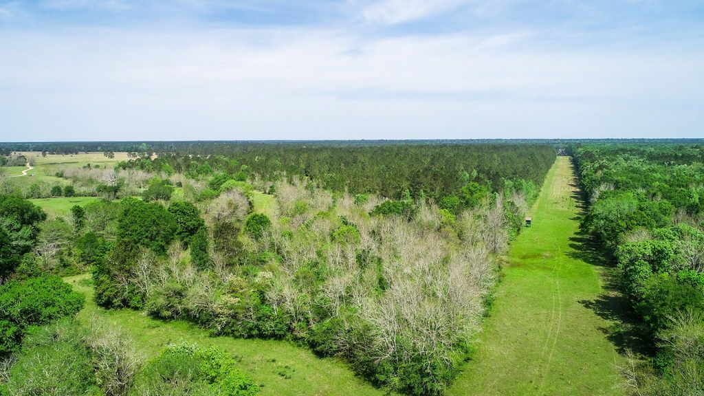 Photo of 40902 Sh 105, Batson, TX 77519 (MLS # 40609137)