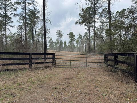 Vacant Land For Sale - 090 County Road Divide<br/> San Augustine County, Pineland, TX 75968