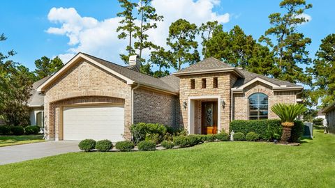 Photo of 25146 Arcane Court, Spring, TX 77389 (MLS # 55648533)