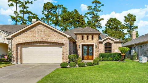 Photo of 25146 Arcane Court, Spring, TX 77389 (MLS # 55648533)