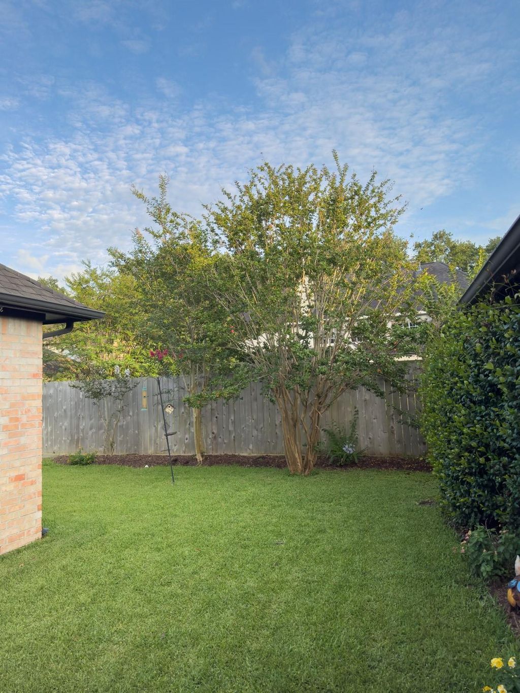 Photo of 19603 Mills Meadow Lane, Houston, TX 77094 (MLS # 53750593)