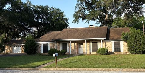 Photo of 677 N Fowlkes Street, Sealy, TX 77474 (MLS # 59655619)