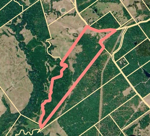 Photo of TBD Cr4120, Lovelady, TX 75851 (MLS # 4669736)