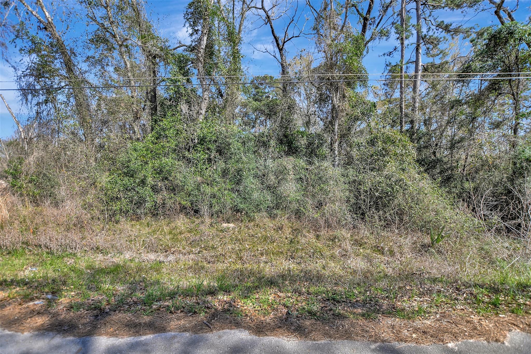 TBD Lot 112 White Birch Lane