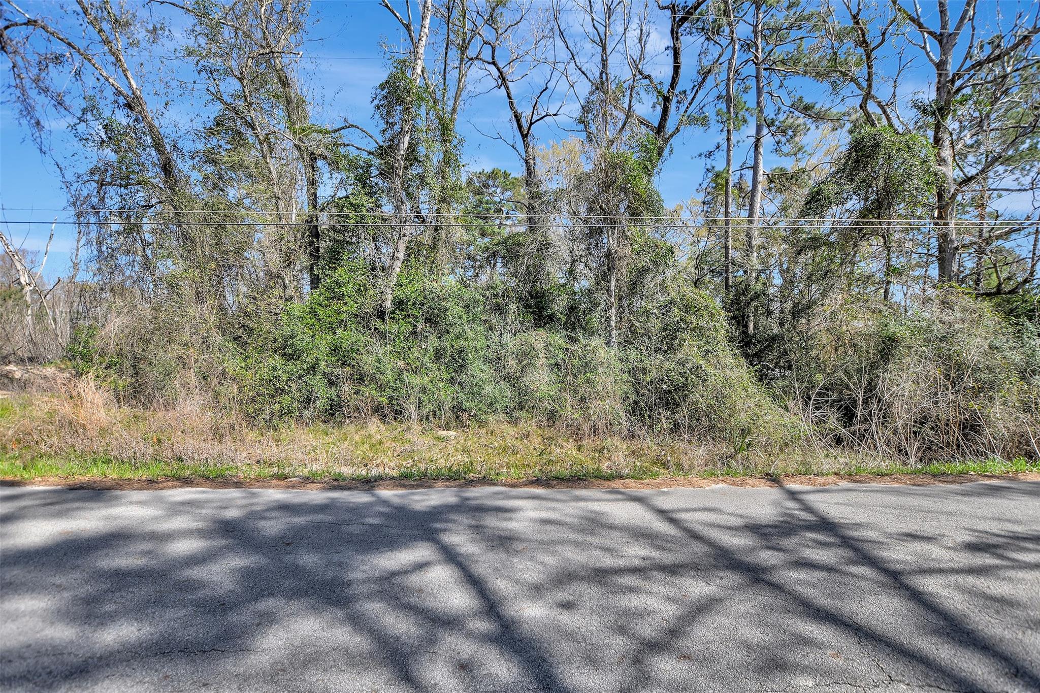 TBD Lot 112 White Birch Lane