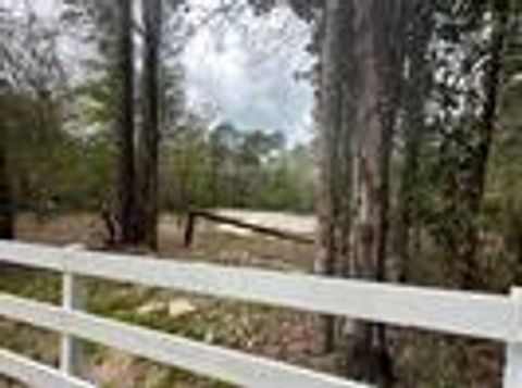Photo of 7389 Teaswood Drive, Conroe, TX 77304 (MLS # 43596351)