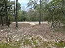 7389 Teaswood Drive