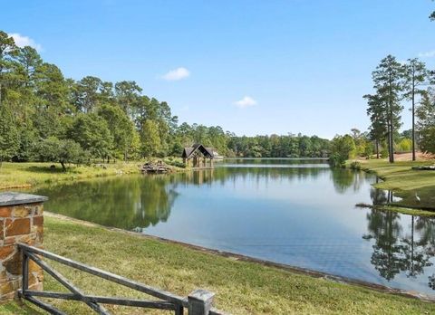 Photo of 7389 Teaswood Drive, Conroe, TX 77304 (MLS # 43596351)