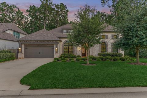 Photo of 127 Stellar Hills Court, Willis, TX 77318 (MLS # 37244891)