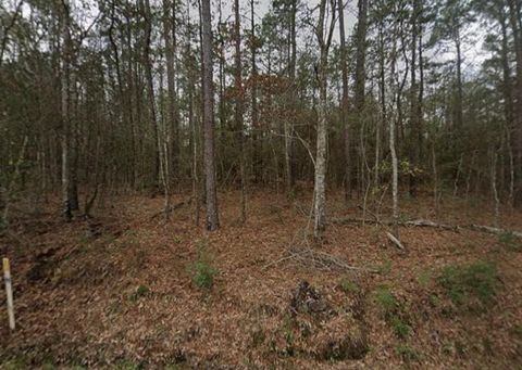 Photo of 600 County Road 4001, Newton, TX 75966 (MLS # 86417836) Photo of 600 County Road 4001, Newton, TX 75966 (MLS # 86417836)