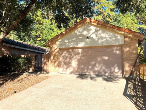 12038 Texas National Boulevard Willis TX 77378