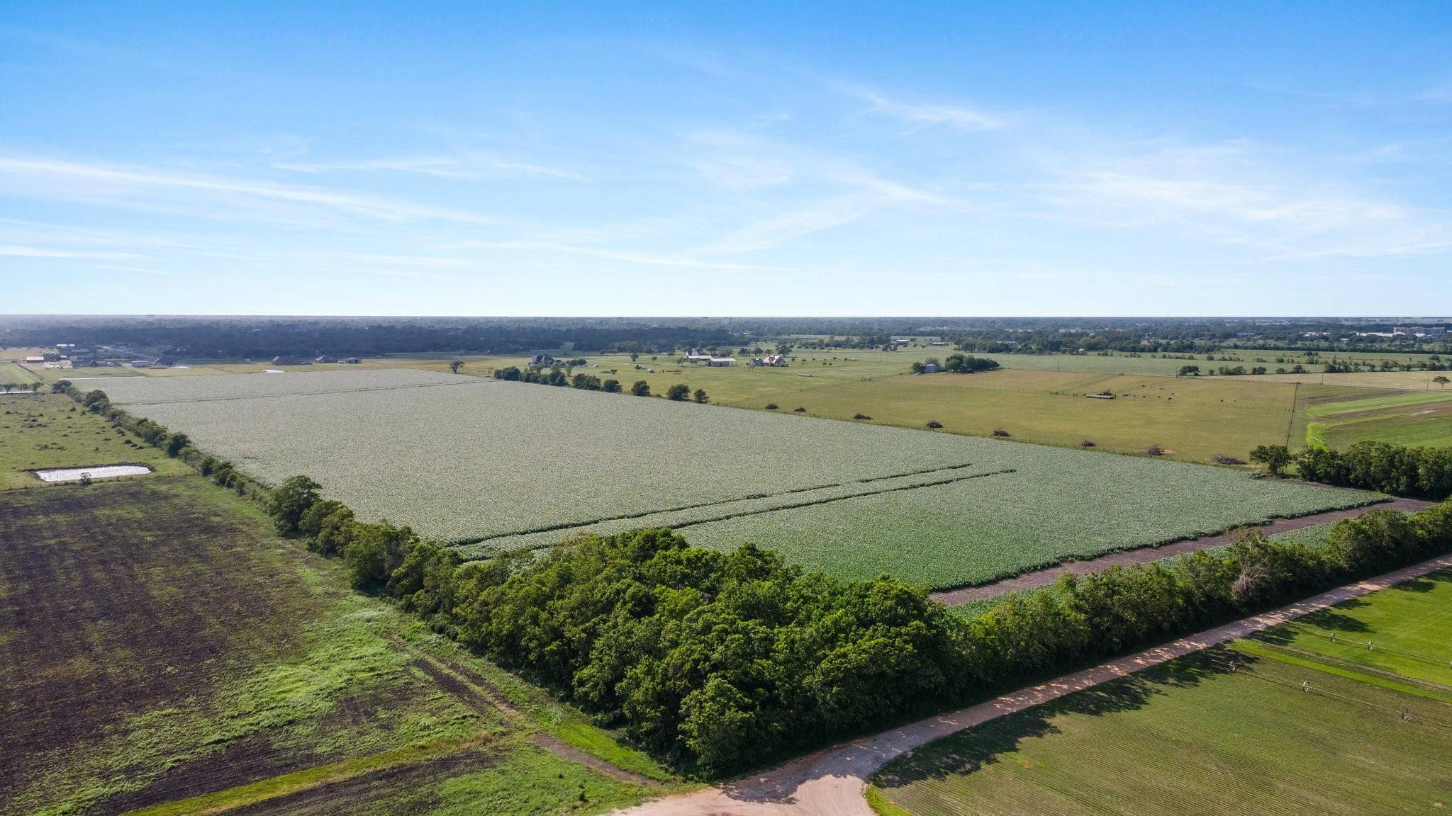 0 County Road 166 Bucks Bayou Road