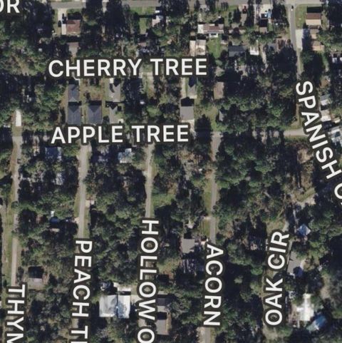 Vacant Land For Sale - 00 Apple Tree<br/> Livingston, TX 77351