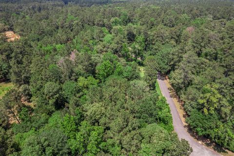 Tiny photo for 17011 Wagon Wheel Road, Stagecoach, TX 77355 (MLS # 69872725)
