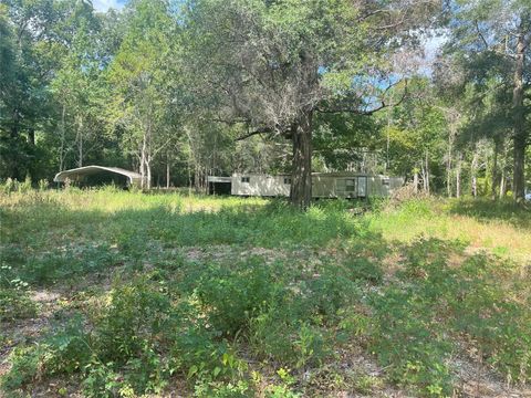 Vacant Land For Sale - 220 Bitter Creek Drive<br/> Shepherd, TX 77371