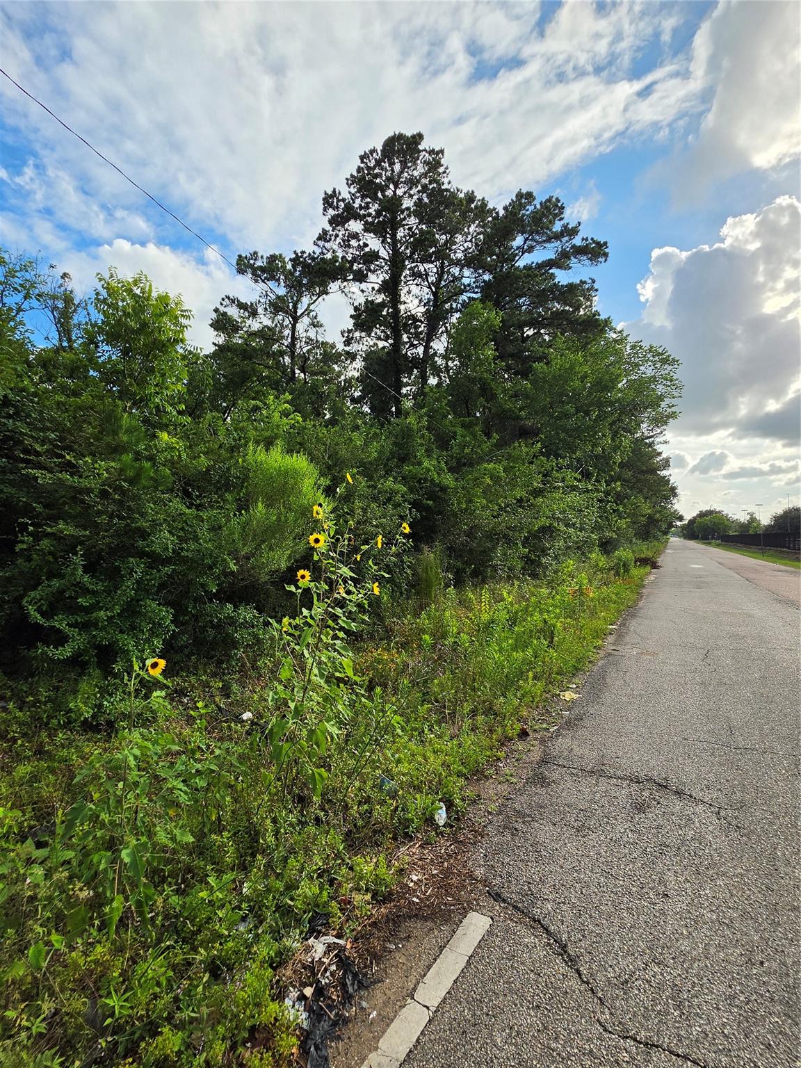 0 Houston Road