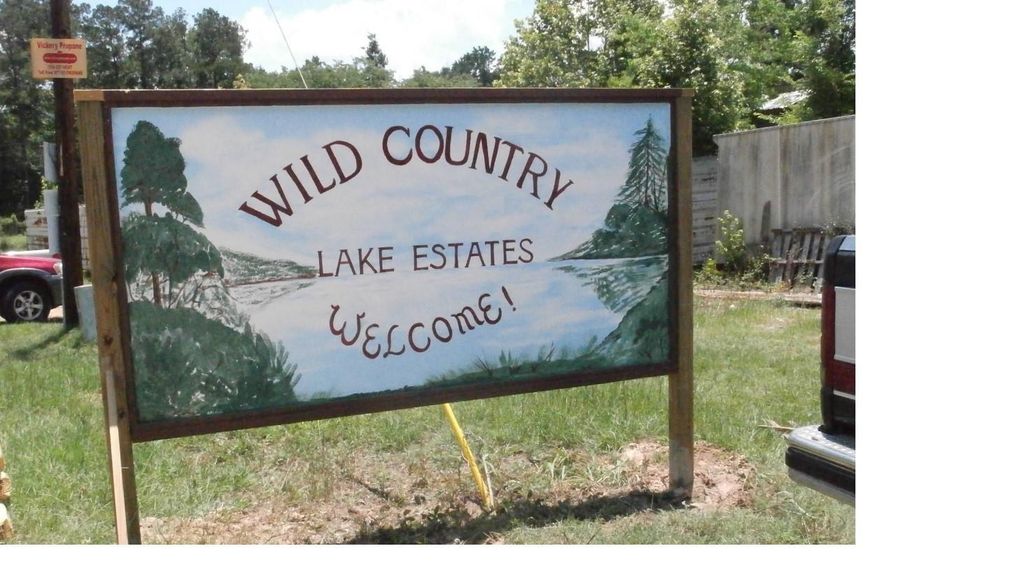 Photo of 254 Bobby Baer Road, Livingston, TX 77351 (MLS # 61545833)