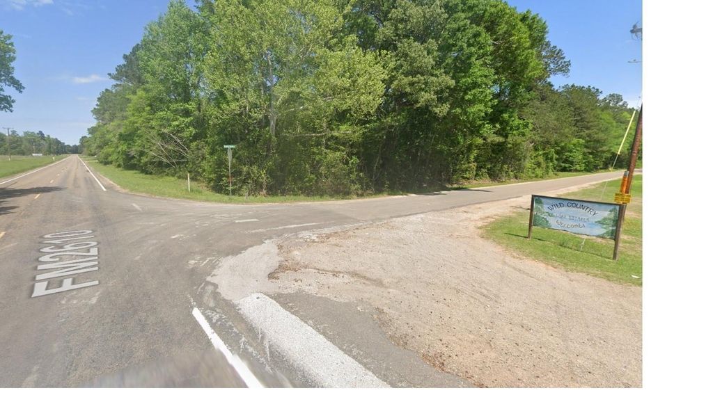 Photo of 254 Bobby Baer Road, Livingston, TX 77351 (MLS # 61545833)