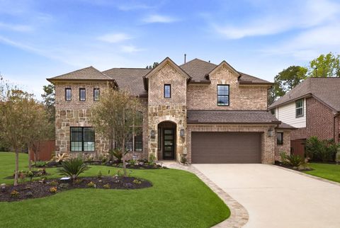 141 Bronze Bow Drive Montgomery TX 77316