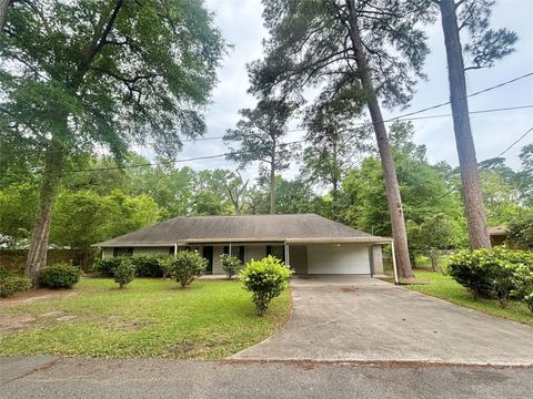 Photo of 368 Johnson Street, Woodville, TX 75979 (MLS # 25939147)