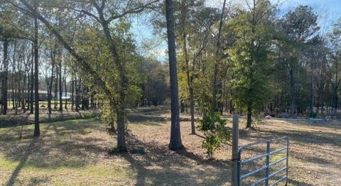 Photo of 23859 Mydas Fly Lane, New Caney, TX 77357 (MLS # 91237261)