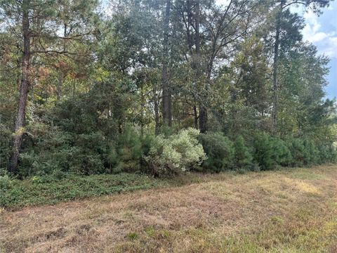 Vacant Land For Sale - 9-17-3B Winchester Road<br/> Walker County, Huntsville, TX 77340