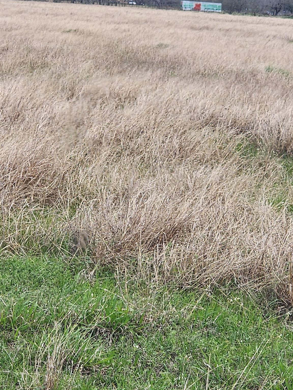 FM 950 RD Track 7 Fm 950