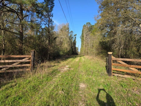 Photo of 12 Mills Lane, Richards, TX 77873 (MLS # 61331014)