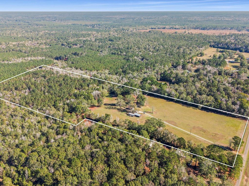 Photo of 234 Private Road 7023, Kirbyville, TX 75956 (MLS # 48552734)