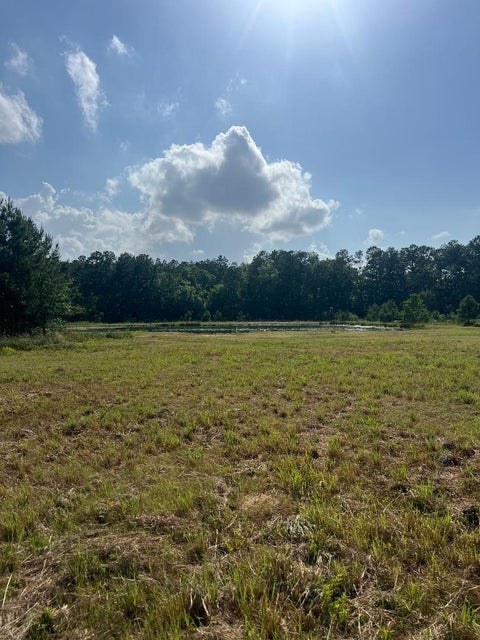 Photo of 24980 Blackburn Dr DR, Splendora, TX 77372 (MLS # 5206251)