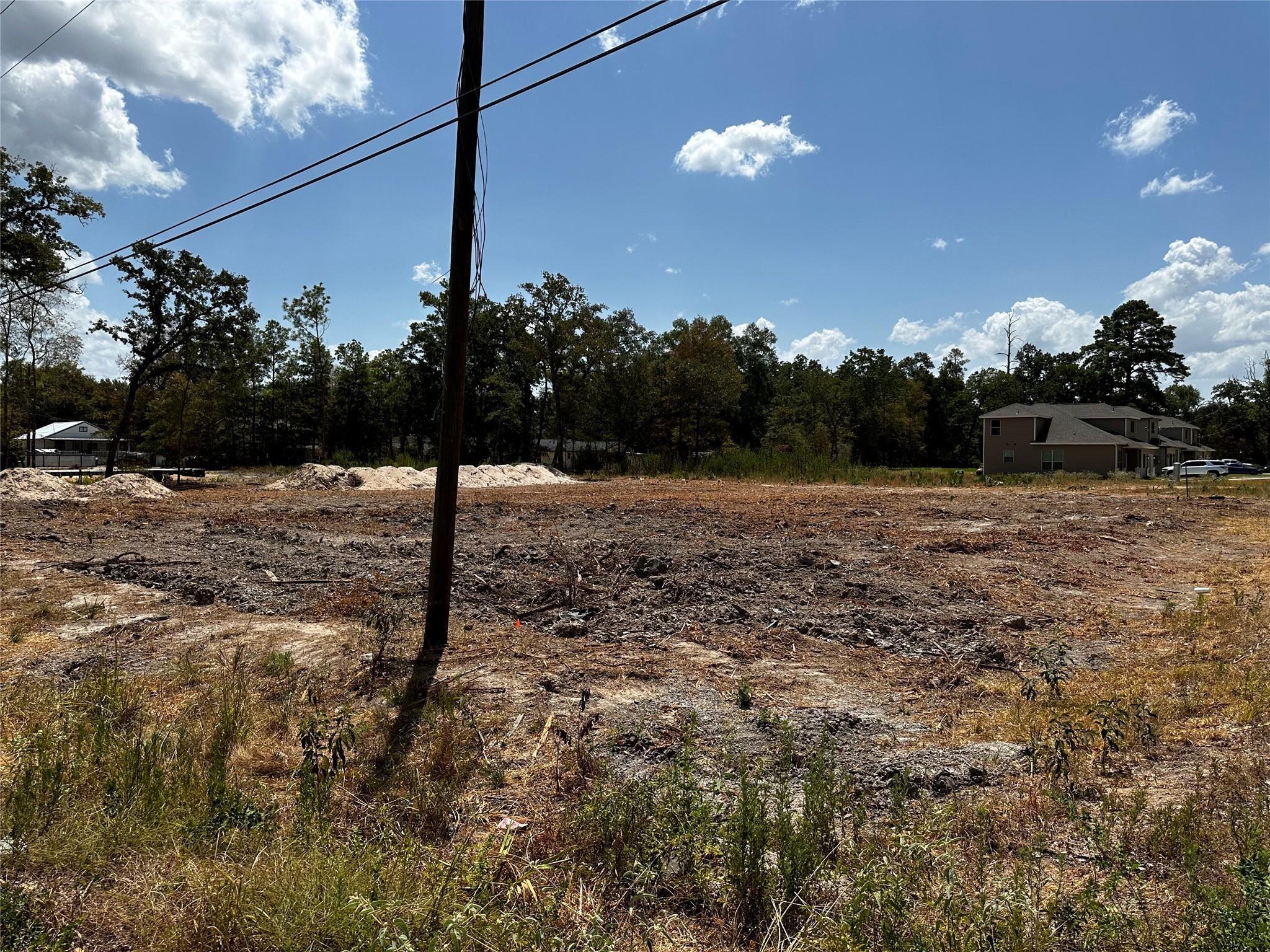 17123 Spindle Oaks Drive