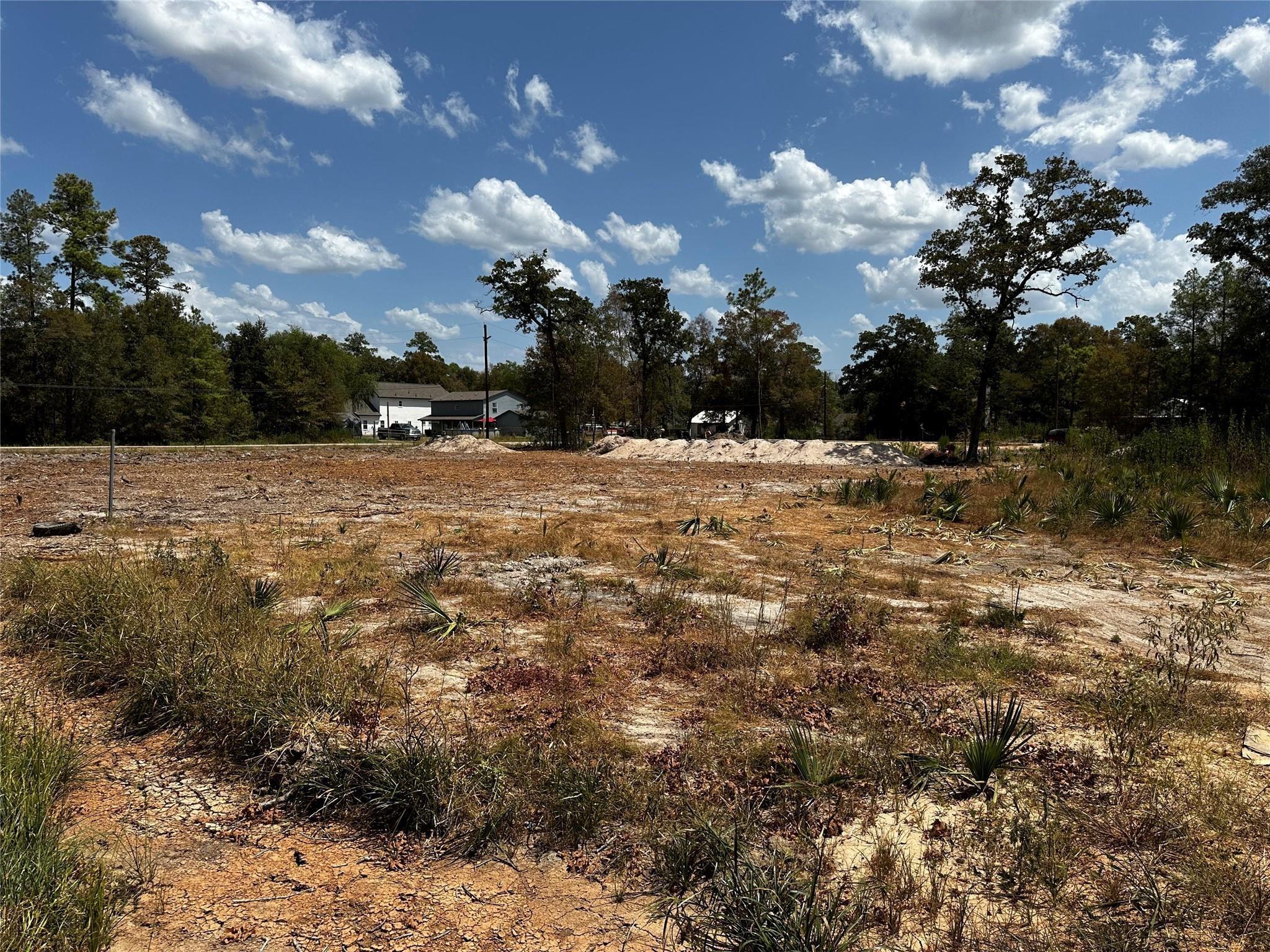 17123 Spindle Oaks Drive