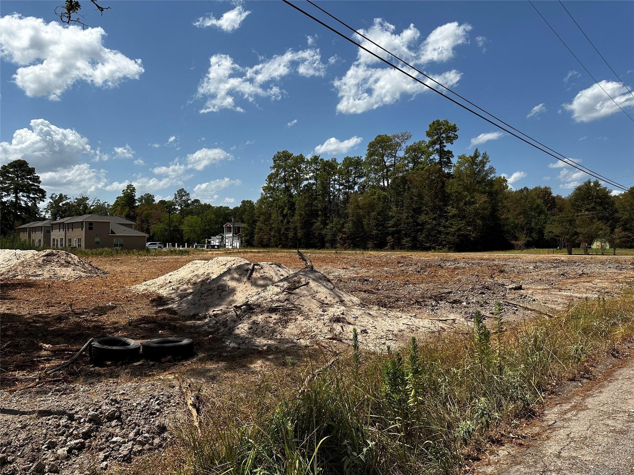 17123 Spindle Oaks Drive