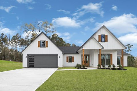 10118 County Road 302 Plantersville TX 77363