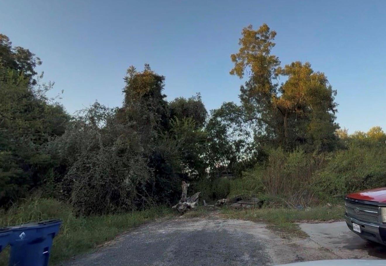 119 Thelma Ln