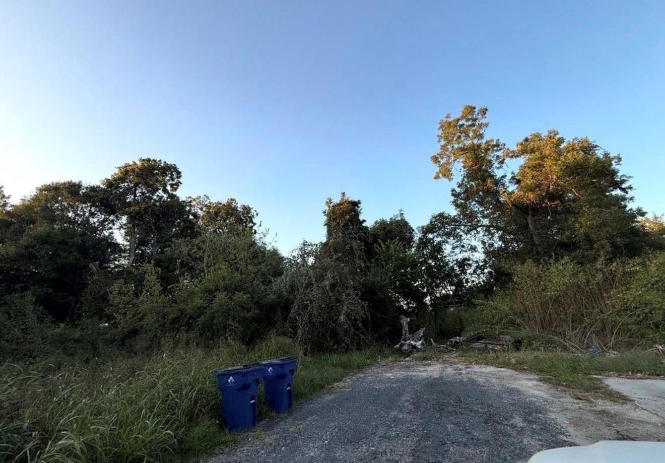 119 Thelma Ln
