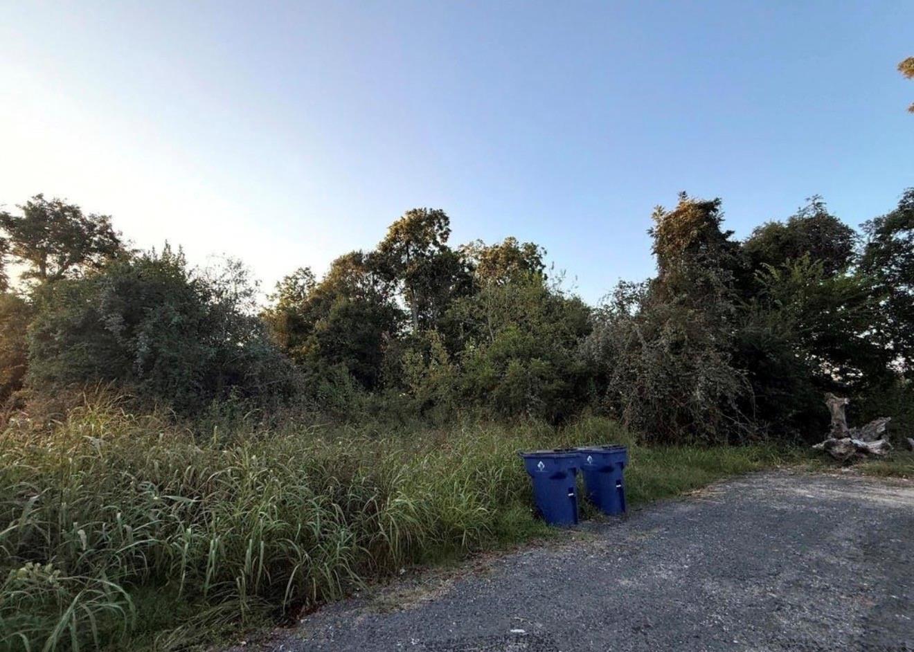 119 Thelma Ln