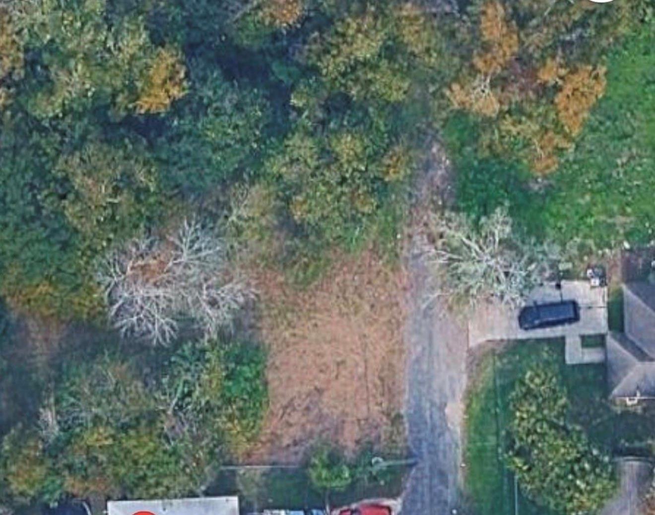 119 Thelma Ln