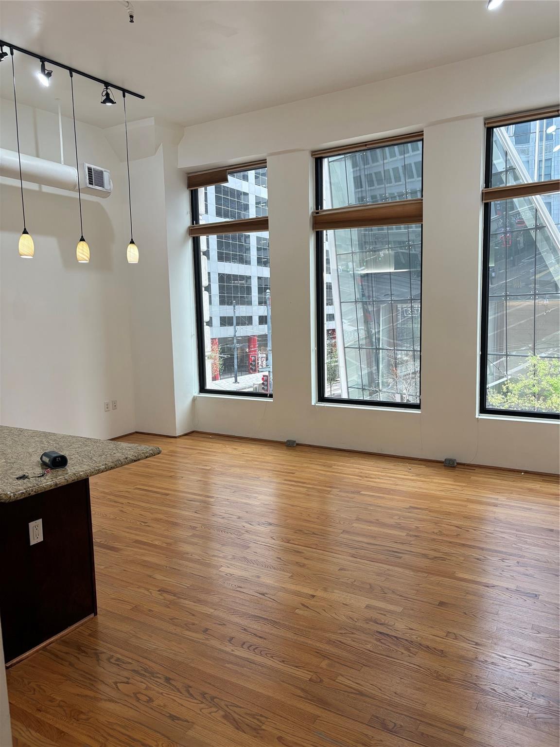 705 Main Street 205