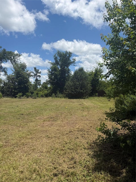 Photo of 199 Mulberry Cove, Onalaska, TX 77360 (MLS # 34687744)