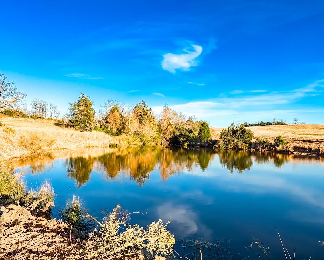 TBD State Highway 75