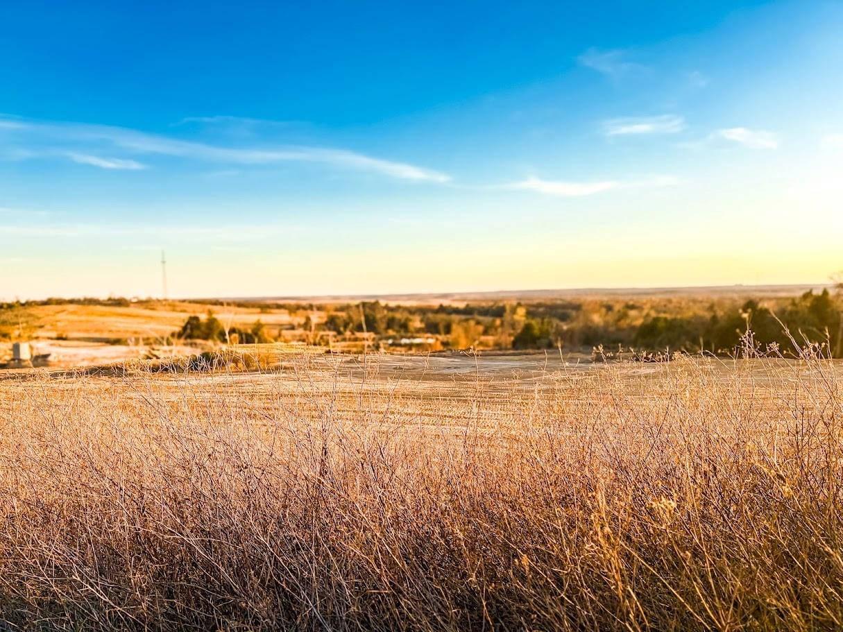 TBD State Highway 75