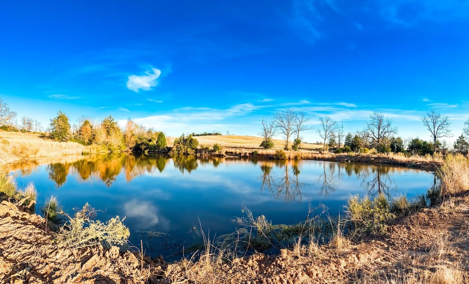 TBD State Highway 75