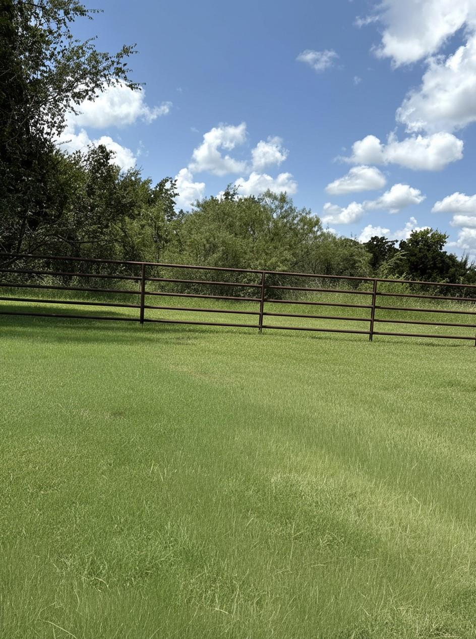 20729 County Road 124
