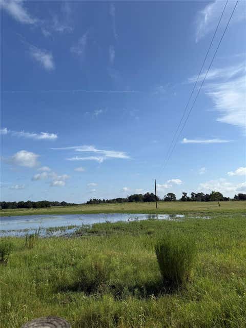 3287359294