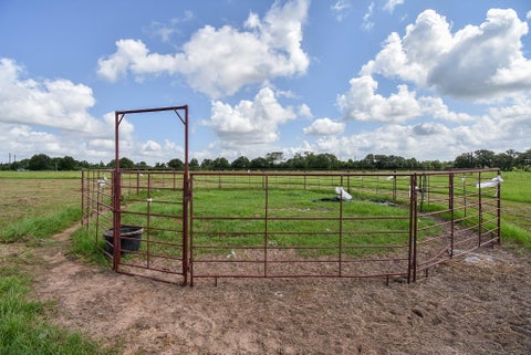 Tiny photo for 1508 County Road 217, Weimar, TX 78962 (MLS # 39819527)